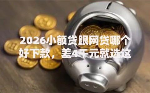 2026小额贷跟网贷哪个好下款，差4千元就选这5个平台
