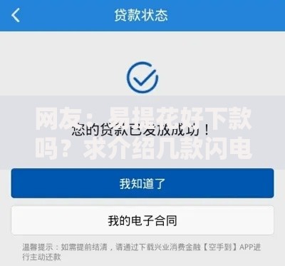 网友：易提花好下款吗？求介绍几款闪电审批的平台