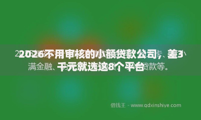 2026不用审核的小额贷款公司，差3千元就选这8个平台