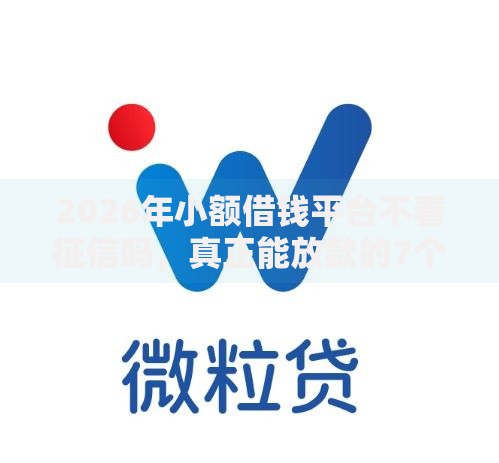 2026年小额借钱平台不看征信吗，真正能放款的7个网络贷款平台哪家好推荐