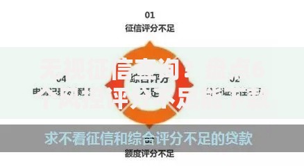 无视征信查询？盘点6个风控评分不足能下款的平台给你参考
