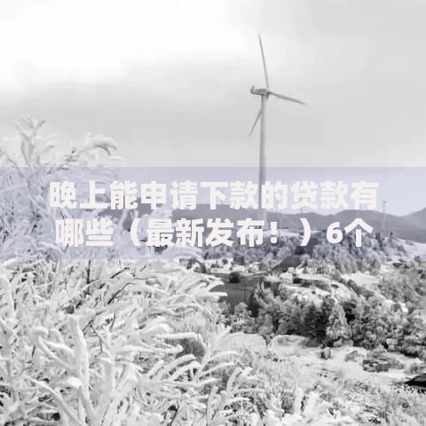 晚上能申请下款的贷款有哪些（最新发布！）6个网贷逾期还可以借钱的口子