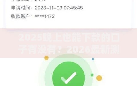 2025晚上也能下款的口子有没有？2026最新测评10个网贷平台举报网站