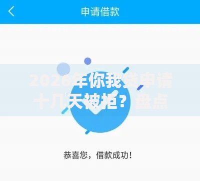 2026年你我贷申请十几天被拒？盘点十大靠谱逾期必下款的口子
