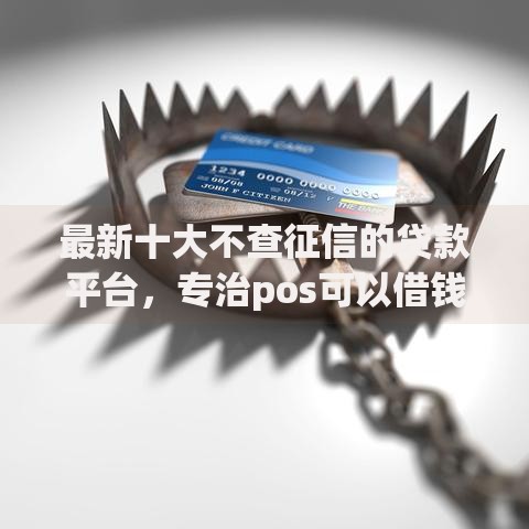 最新十大不查征信的贷款平台，专治pos可以借钱