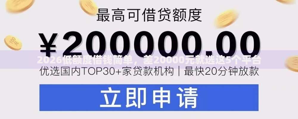 2026低额度借钱简单，差20000元就选这5个平台