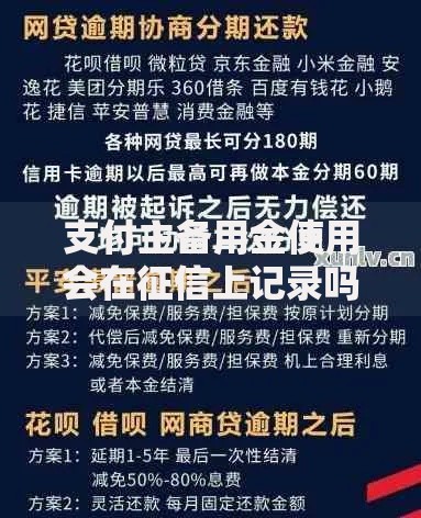 支付主备用金使用会在征信上记录吗？这7个好的网贷平台值得一试