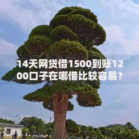 14天网贷借1500到账1200口子在哪借比较容易？类似强制下款的6个口子参考