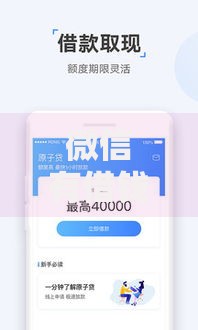 微信有借钱功能怎么开启？十大不看负债秒下款的网贷软件推荐