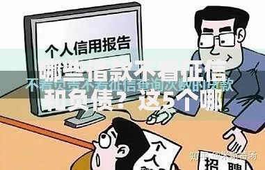 哪些借款不看征信和负债？这5个哪些贷款平台上征信可以试试
