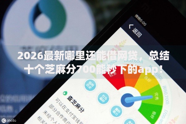 2026最新哪里还能借网贷，总结十个芝麻分700能秒下的app！