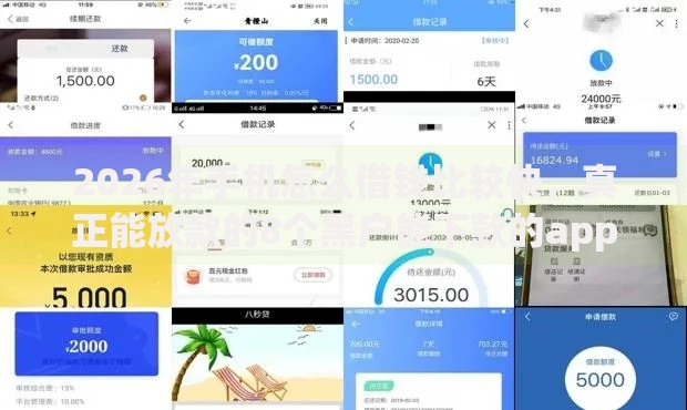 2026年手机怎么借钱比较快，真正能放款的8个黑户能下款的app口子入口推荐