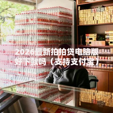 2026最新拍拍贷电脑版好下款吗（支持支付宝），8个广州贷款平台无私分享