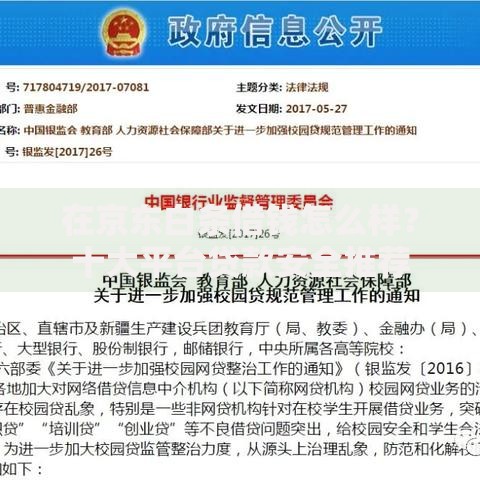 在京东白条借钱怎么样？十大平台贷款安全推荐