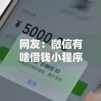 网友：微信有啥借钱小程序可靠？求介绍几款5个无视一切下款的平台