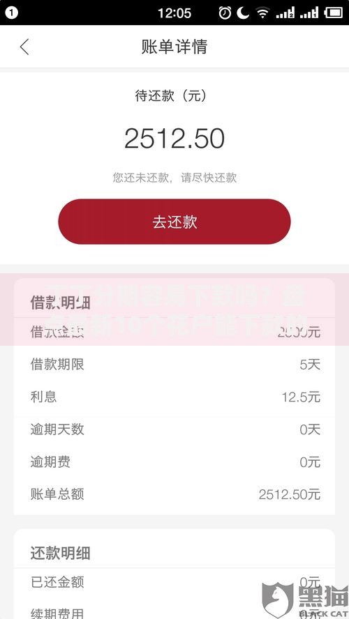 丁丁分期容易下款吗？盘点最新10个花户能下款的平台