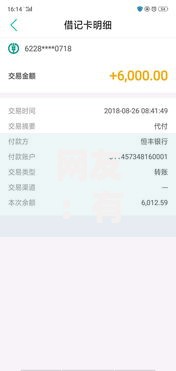 网友：有信用卡秒过的网贷？求介绍几款不看欠款的贷款口子