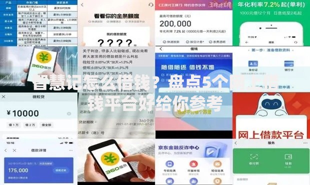智慧记怎么借钱？盘点5个网上借钱平台好给你参考