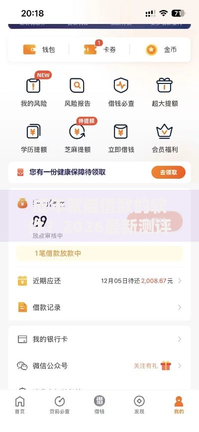 成年就能借款的软件？2026最新测评10个不用征信放款平台