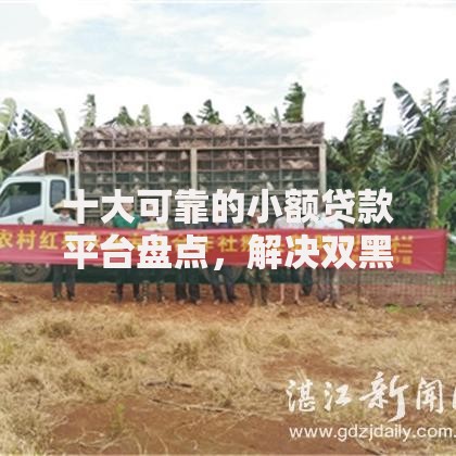 十大可靠的小额贷款平台盘点,解决双黑借钱平台的问题 十大可靠的小额贷款平台盘点,解决双黑借钱平台的问题