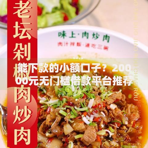 能下款的小额口子？20000元无门槛借款平台推荐，6个贷款推广平台盘点