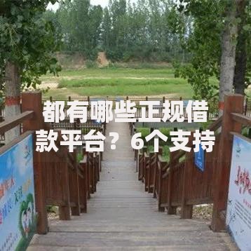 都有哪些正规借款平台？6个支持下款到微信的半夜秒下款高炮口子