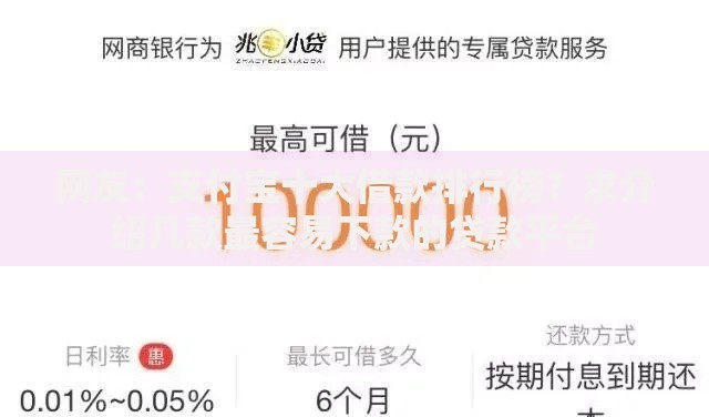 网友：支付宝十大借款排行榜？求介绍几款最容易下款的贷款平台