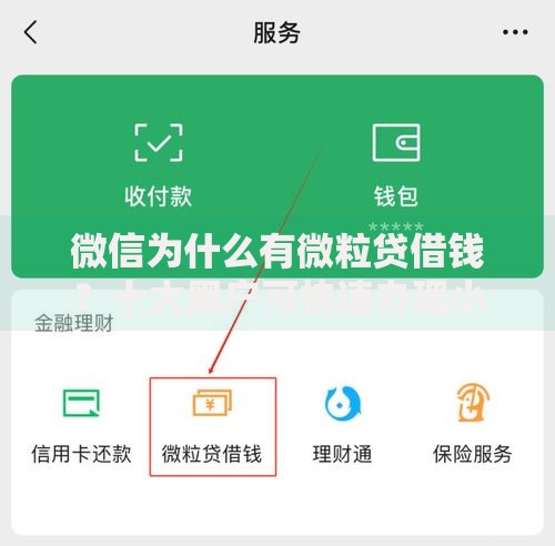 微信为什么有微粒贷借钱？十大黑户可快速办理小额贷款业务的软件推荐