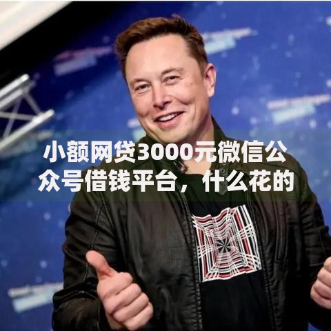 小额网贷3000元微信公众号借钱平台,什么花的贷款的8个平台介绍 小额网贷3000元微信公众号借钱平台,什么花的贷款的8个平台介绍