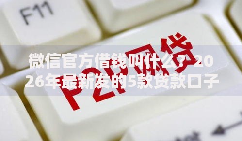 微信官方借钱叫什么?2026年最新发的5款贷款口子 微信官方借钱叫什么?2026年最新发的5款贷款口子