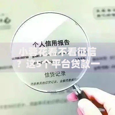 小蓉花看不看征信？这5个平台贷款一定下得来可以试试