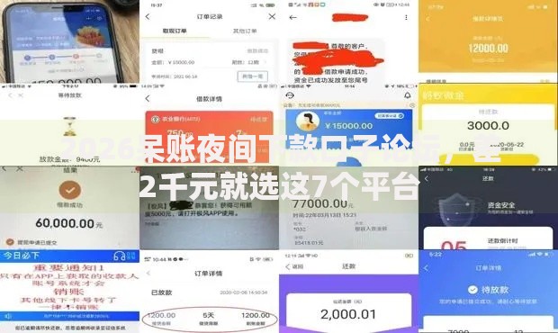 2026呆账夜间下款口子论坛，差2千元就选这7个平台