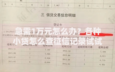 急需1万元怎么办？各种小贷怎么查征信记录试试这5个无门槛平台