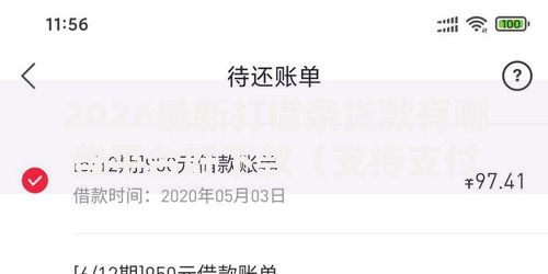 2026最新打借条贷款有哪些平台好下款（支持支付宝），7个黑户平台能借款无私分享