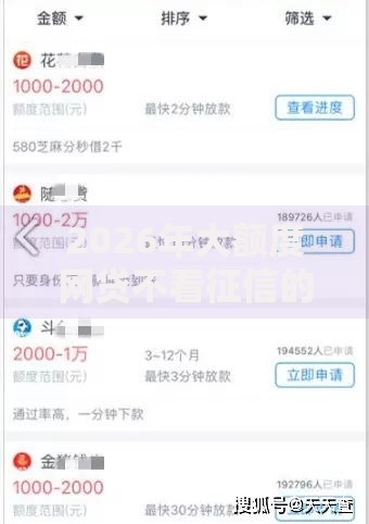 2026年大额度网贷不看征信的平台？盘点十大靠谱无视逾期高负债秒过口子