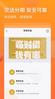 临时借钱有哪些借钱快的？2026最新测评10个轻松贷10万的平台