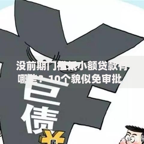 没前期门槛低小额贷款有哪些？10个貌似免审批、无视黑白100%秒下网贷app合集