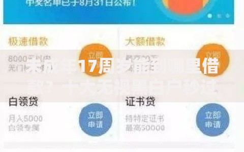 未成年17周岁能到哪里借款？十大无视黑白户秒过的网贷推荐