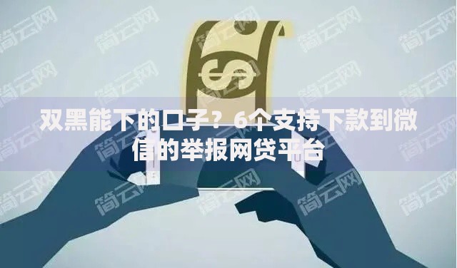 双黑能下的口子？6个支持下款到微信的举报网贷平台