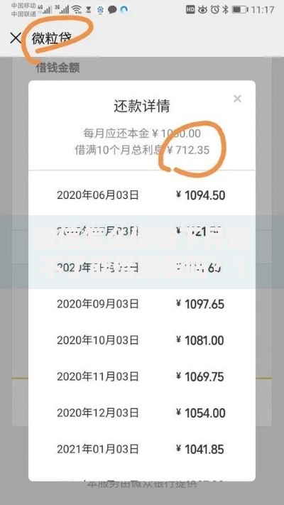 微信怎么借钱下月还不了能借到钱吗？1000元无门槛借款7个平台推荐