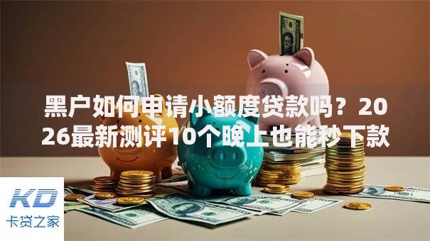 黑户如何申请小额度贷款吗？2026最新测评10个晚上也能秒下款的口子