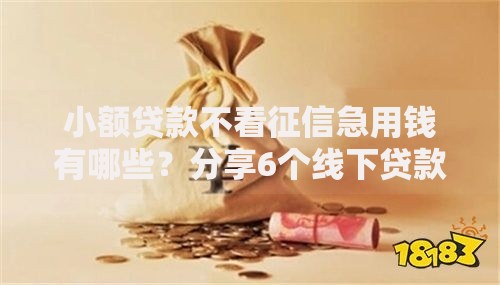 小额贷款不看征信急用钱有哪些？分享6个线下贷款平台