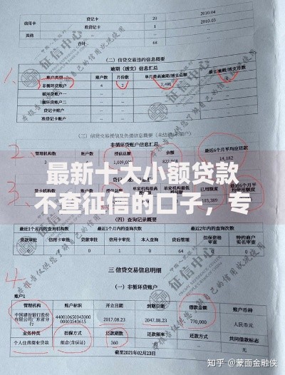 最新十大小额贷款不查征信的口子，专治五年前征信黑户怎么贷款