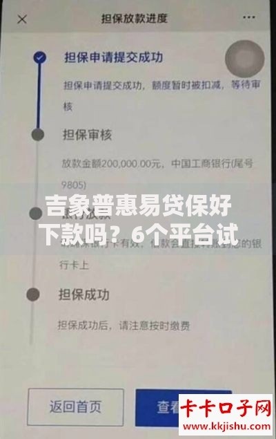 吉象普惠易贷保好下款吗？6个平台试试看哪个能下款