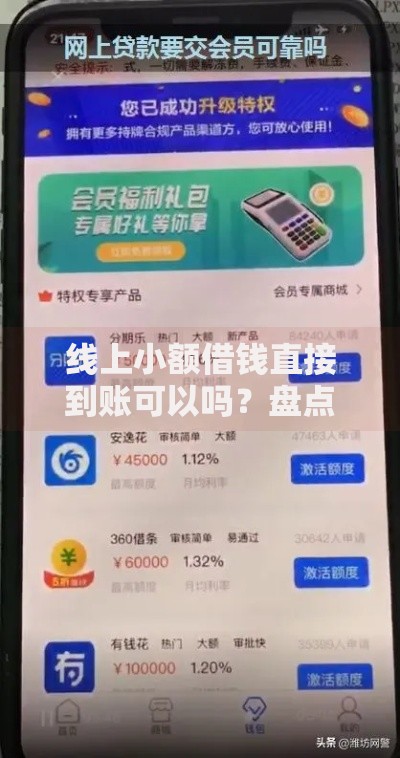 线上小额借钱直接到账可以吗？盘点最新10个不看综合评估的百分百下款的软件
