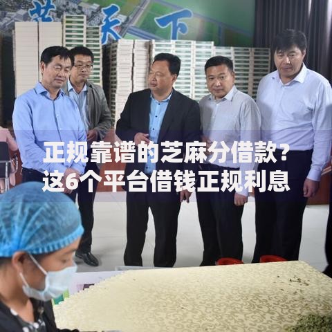 正规靠谱的芝麻分借款？这6个平台借钱正规利息最低值得一试