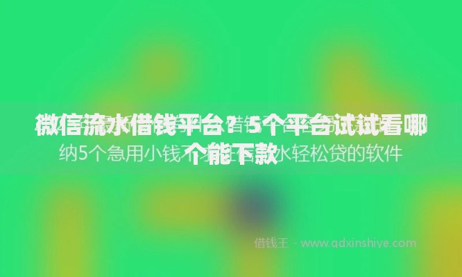 微信流水借钱平台?5个平台试试看哪个能下款 微信流水借钱平台?5个平台试试看哪个能下款