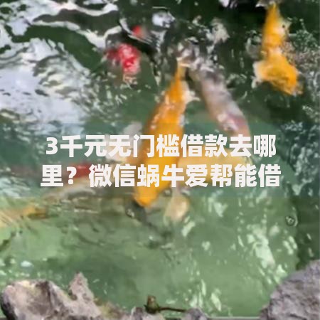 3千元无门槛借款去哪里？微信蜗牛爱帮能借钱吗看这7个平台