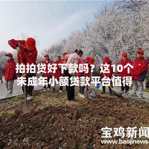 拍拍贷好下款吗？这10个未成年小额贷款平台值得一试