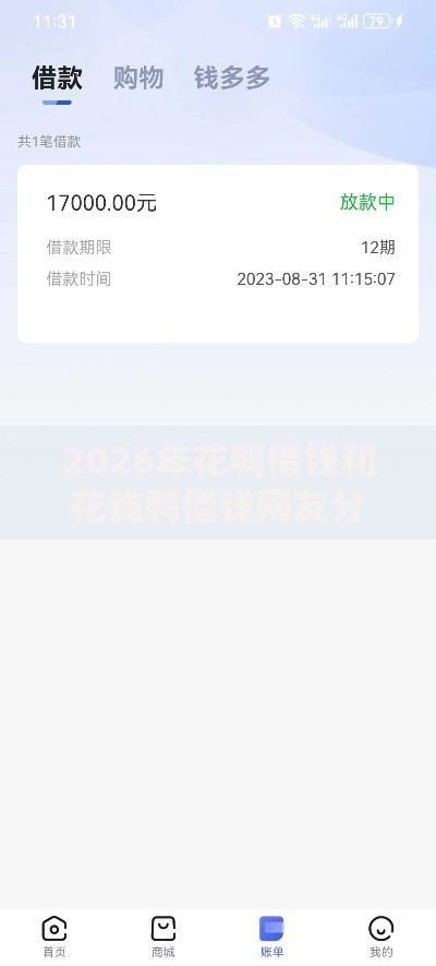 2026年花鸭借钱和花钱鸭借钱网友分享的5个不审核夜间直接放款的网贷软件我觉得不错！